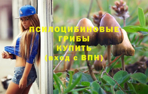 не бодяженный Гусь-Хрустальный